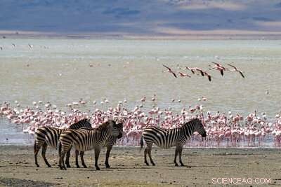 High-Phosphorus Lakes May Have Spurred Life s Origin