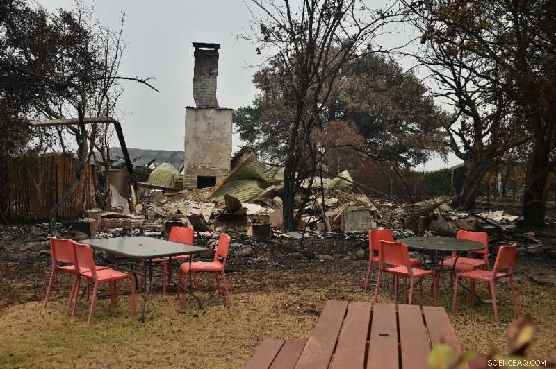 Melbourne Evacuated as Record Heatwave Fuels Widespread Bushfires Across Australia