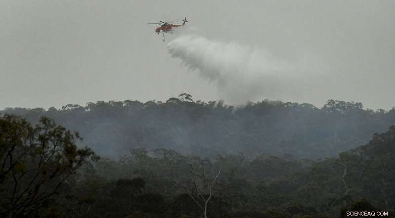 Thousands Evacuated from Australian Beaches Amid Escalating Bushfires