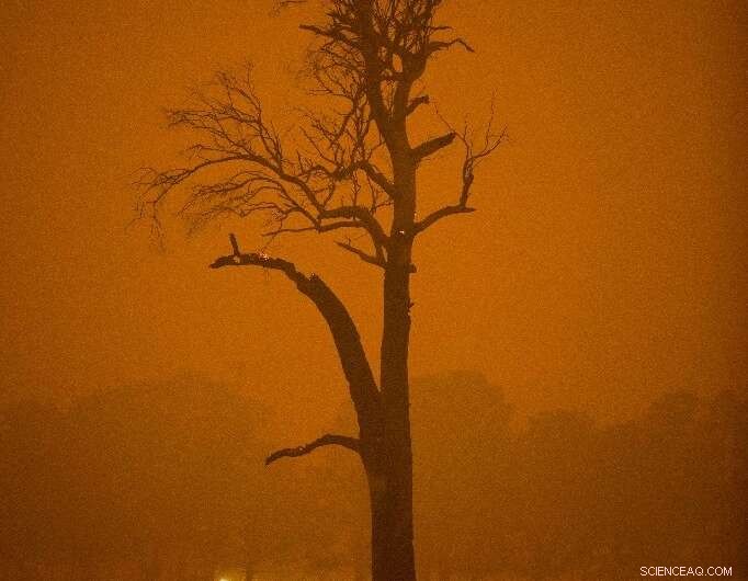 Australia Launches Massive Effort to Rescue Thousands Stranded by Bushfires