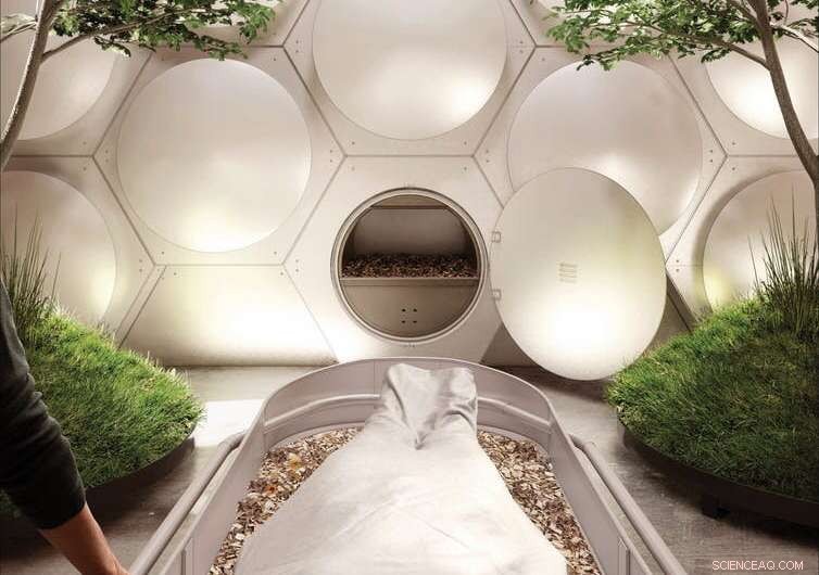 Eco-Friendly Burial: Turning Ashes into Compost in Just 4 Weeks