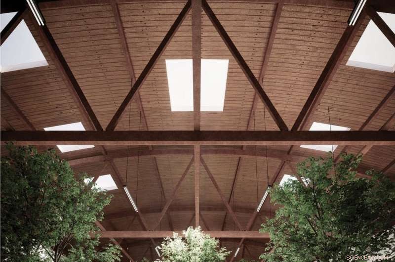 Eco-Friendly Burial: Turning Ashes into Compost in Just 4 Weeks