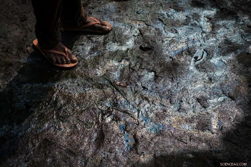 Oil Spills Devastate Nigerian Communities, Straining Livelihoods and Ecosystems