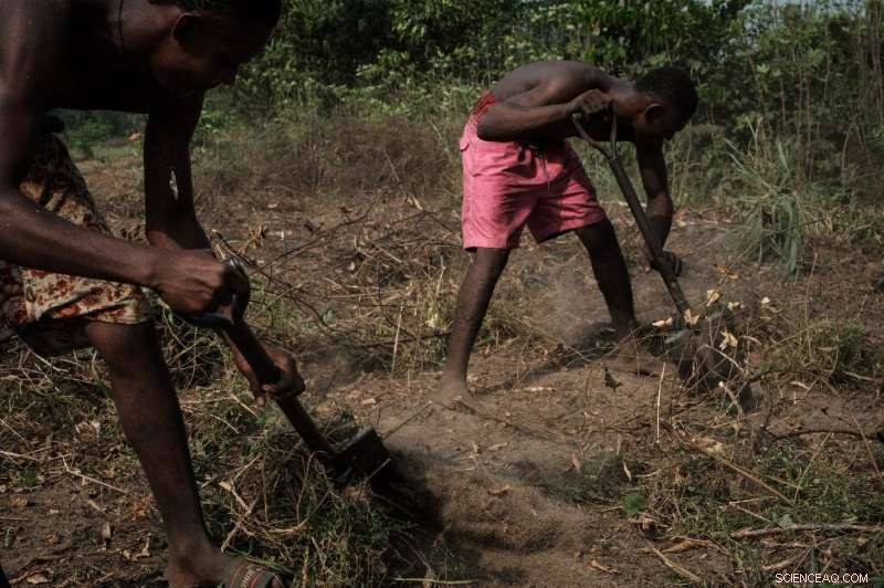 Oil Spills Devastate Nigerian Communities, Straining Livelihoods and Ecosystems