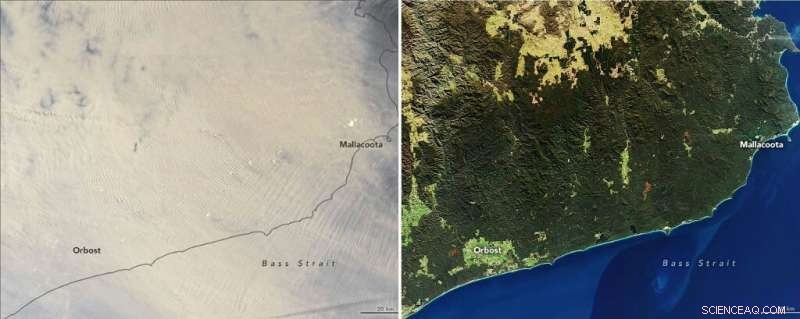 Renewed Fire Threat Drives Thousands to Seek Safety in Australian Cities