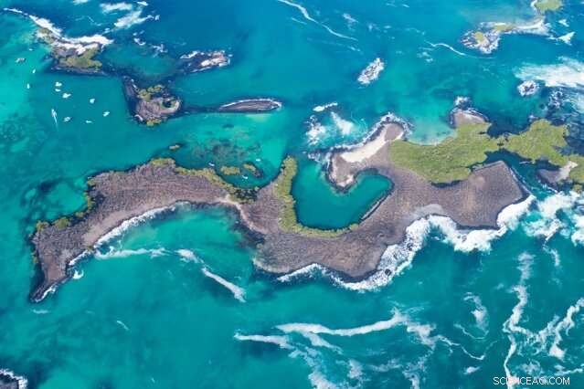 Volcanic Island Longevity: Understanding the Life Cycle of Hawaii and the Galapagos