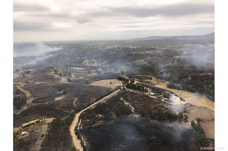 Exploring the Drivers of Australia’s Wildfires: Climate Change and Beyond