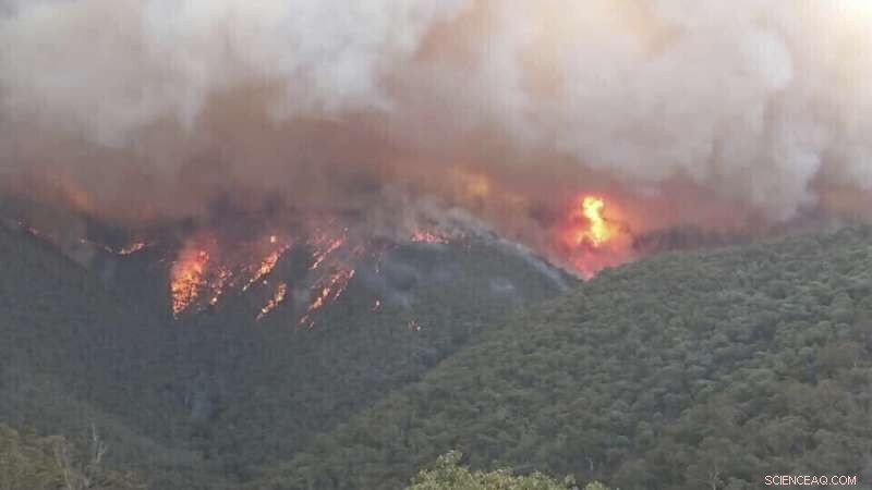 Exploring the Drivers of Australia’s Wildfires: Climate Change and Beyond