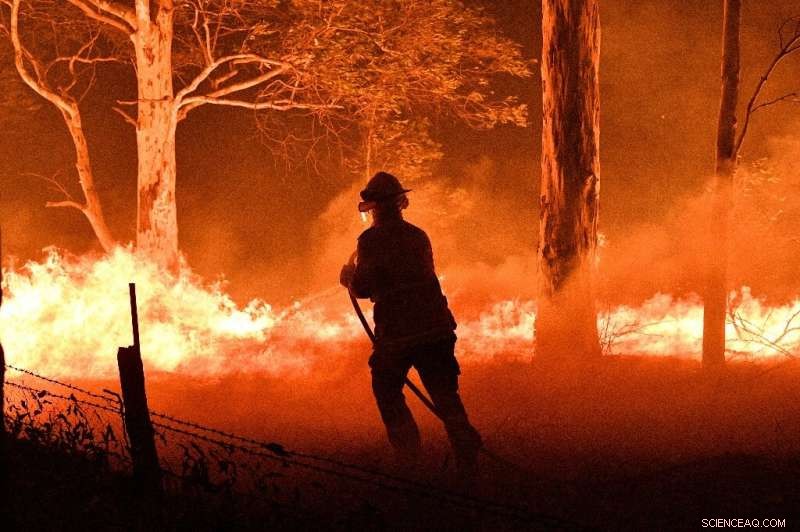 Australia’s Wildfires Threaten Decades of Wildlife Recovery
