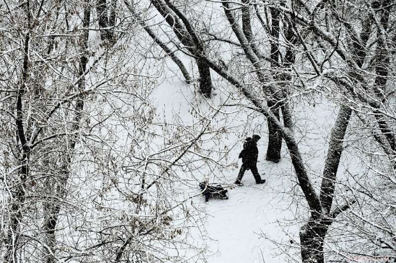 Russia Launches Comprehensive Climate Adaptation Strategy