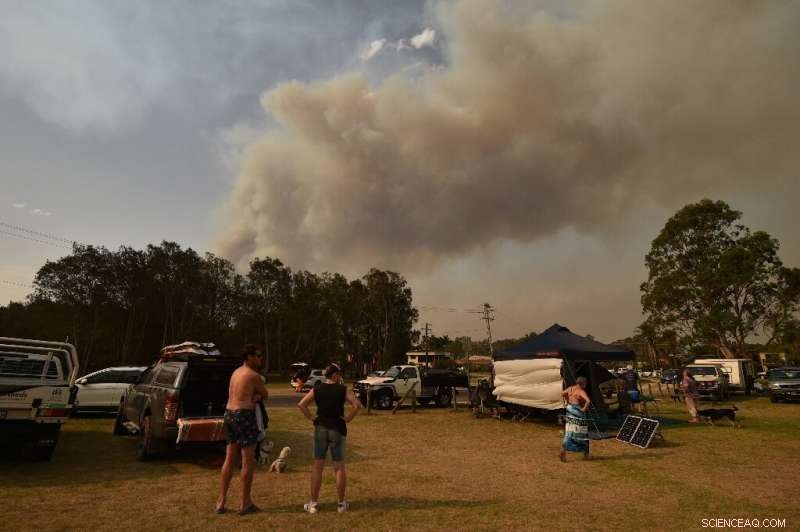 Australia’s Bushfire Refugees: Shock, Fear, and Sadness