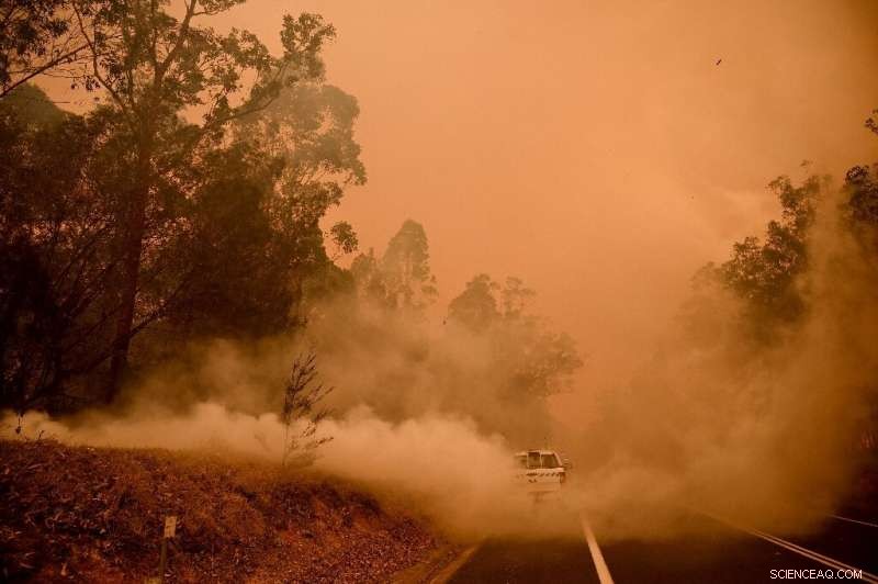 Australia’s Bushfire Refugees: Shock, Fear, and Sadness