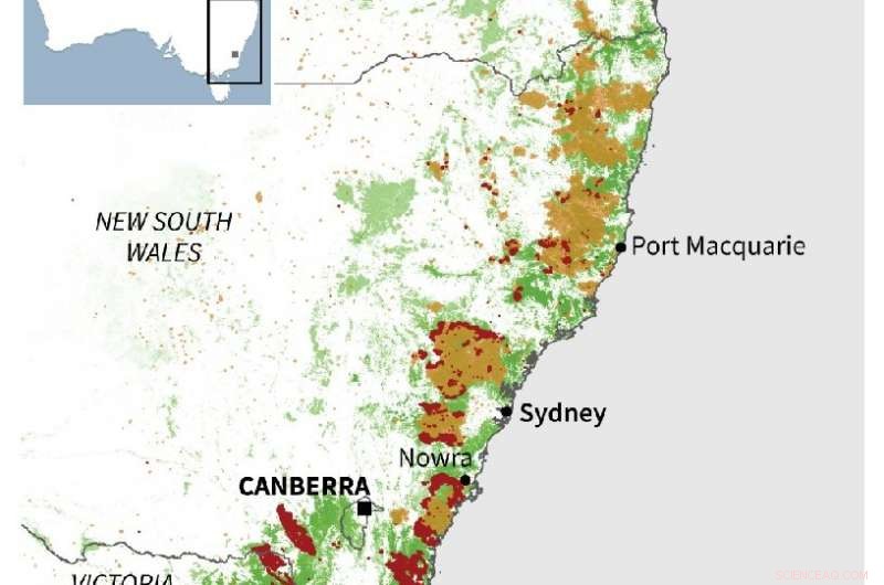 Power Grid at Risk as Troops Mobilize Against Australia s Bushfires