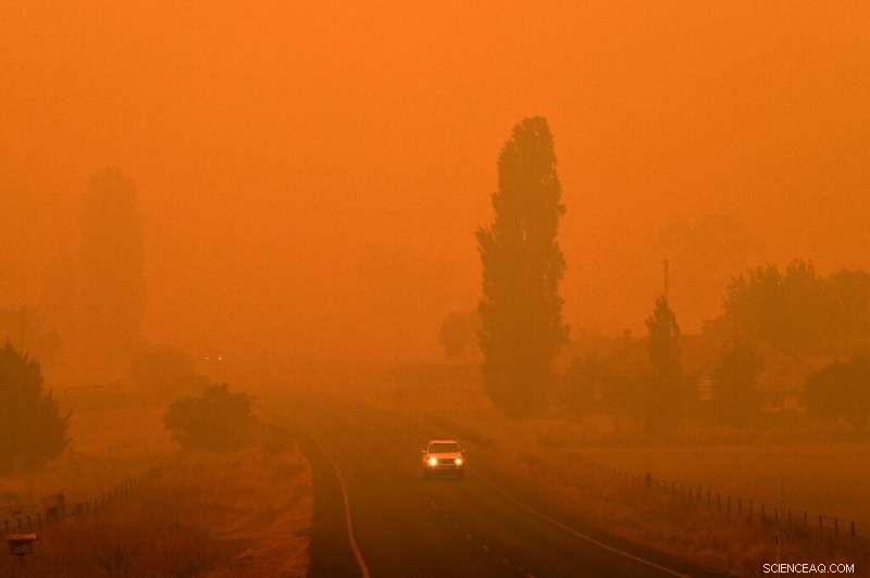 Australian Troops Mobilized to Combat Wildfires Across Three States After Devastating Weekend