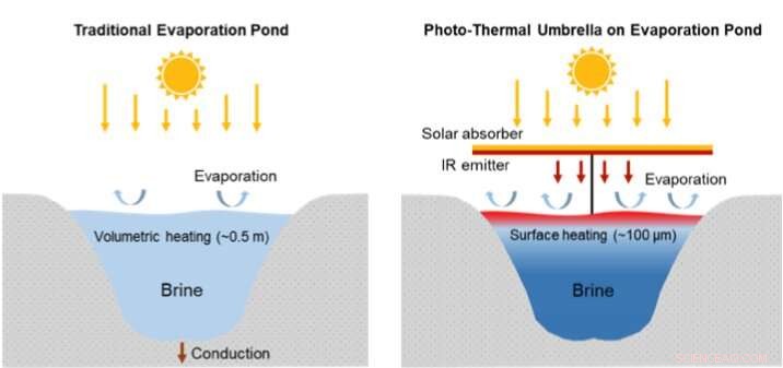 Revolutionizing Wastewater Treatment: Solar Umbrellas for Cleaner, Sustainable Water