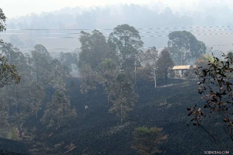 Australia s Firefighters Battle Bushfires Ahead of Heatwave