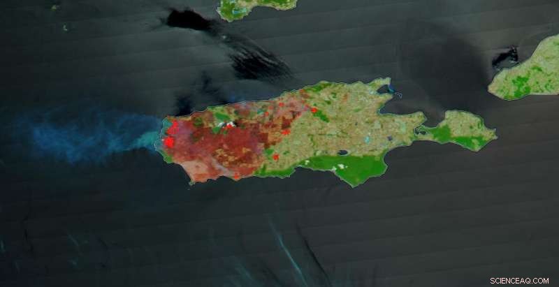 NASA Satellite Images Reveal One-Third of Kangaroo Island Burned in Recent Fires