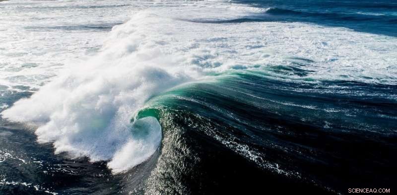 How Waves Travel: From Wind‑Blown Ripples to Shoreline Breaks