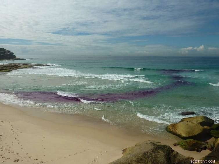 How Waves Travel: From Wind‑Blown Ripples to Shoreline Breaks