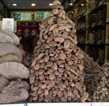 Ensuring Sustainable Practices in Chinese Medicine Trade along the New Silk Roads