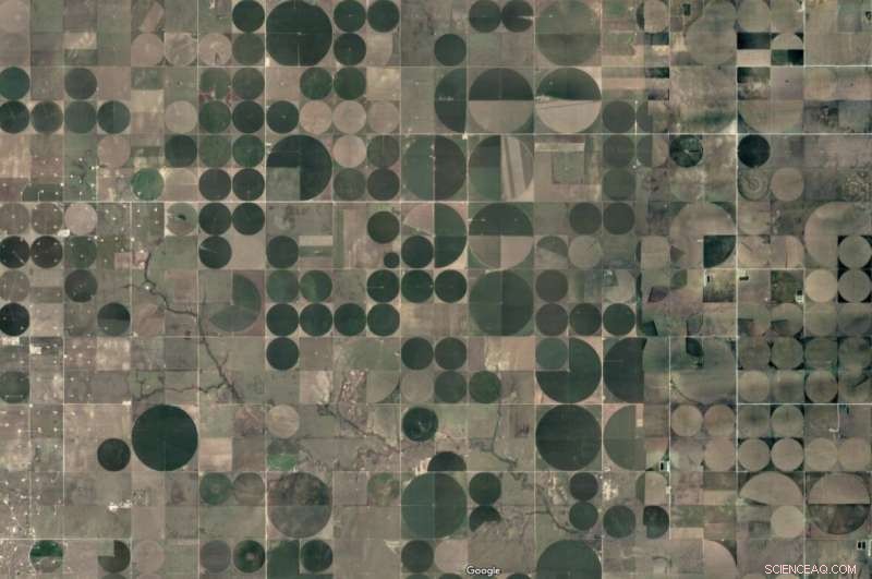 Scientists Identify Critical Threshold in Global Deforestation