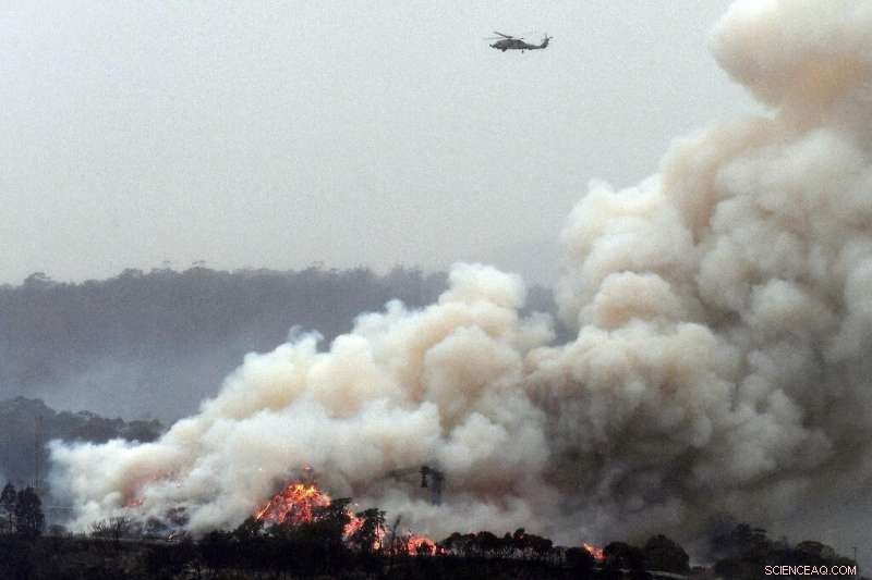 Indigenous Communities Play a Critical Role in Protecting Endangered Forests