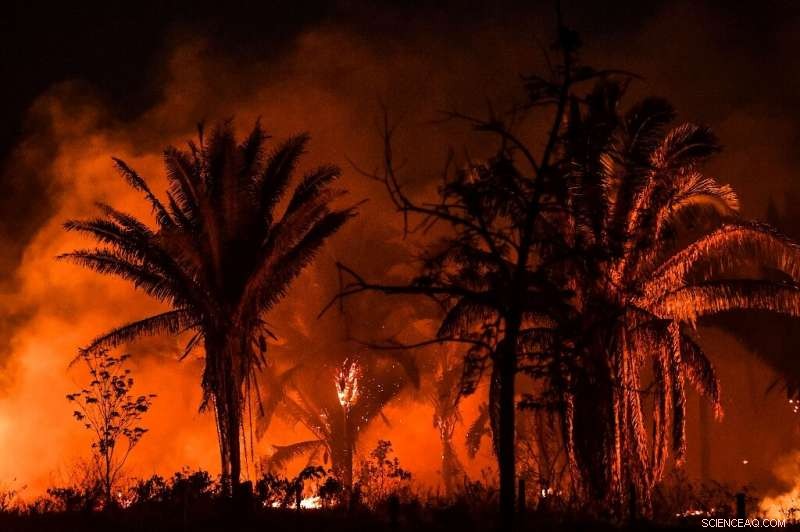 Indigenous Communities Play a Critical Role in Protecting Endangered Forests