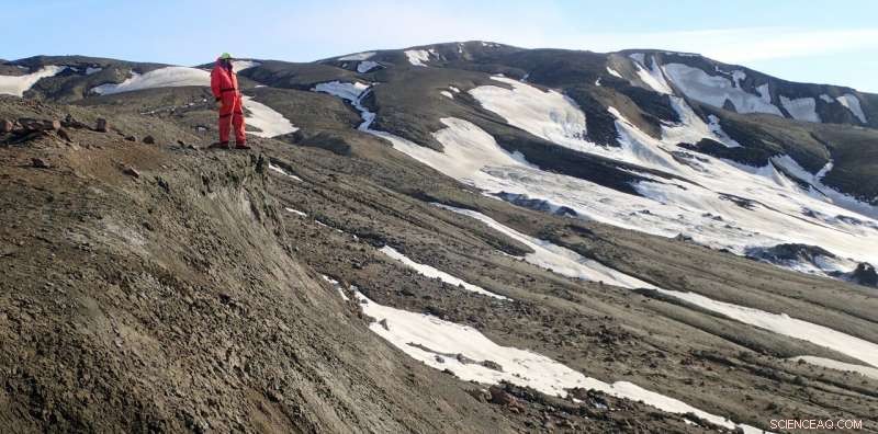 Antarctic Seashells Reveal Early Ocean Acidification, Preceding the Asteroid Impact that Ended the Dinosaurs