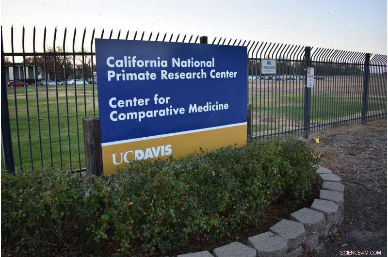 Rising Wildfires Intensify Smoke, Heightening Health Concerns