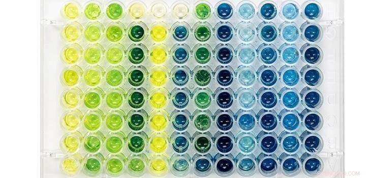 Chlorine Disinfection May Accelerate Antimicrobial Resistance: UV Alternative Offers Hope