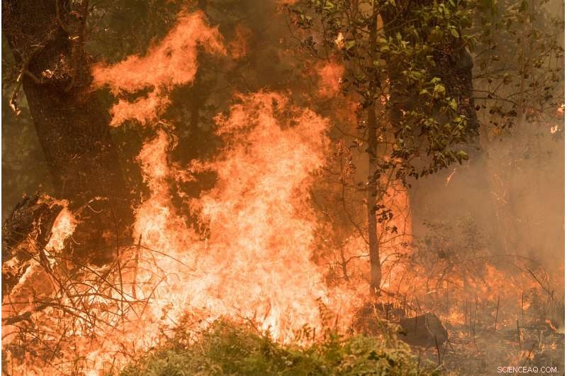 New Research Empowers Land Managers to Adopt Risk-Analysis Strategies for Modern Wildfire Challenges