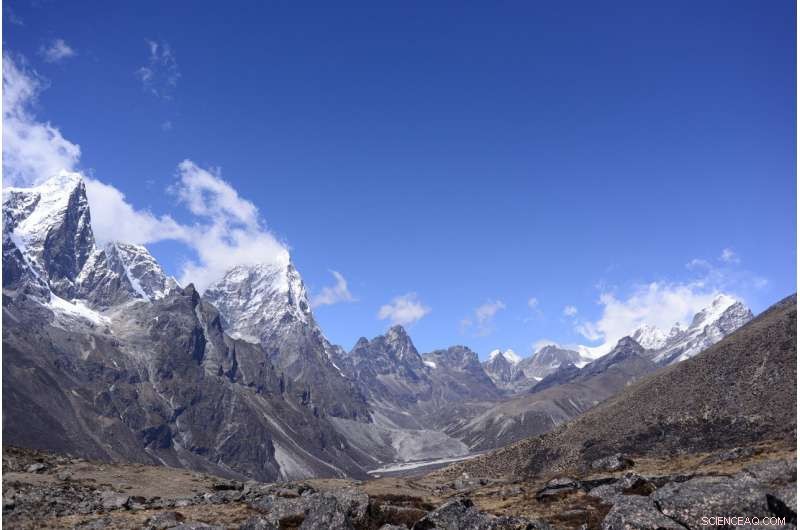 Everest’s Green Frontier: Expanding Plant Life in the Himalayas