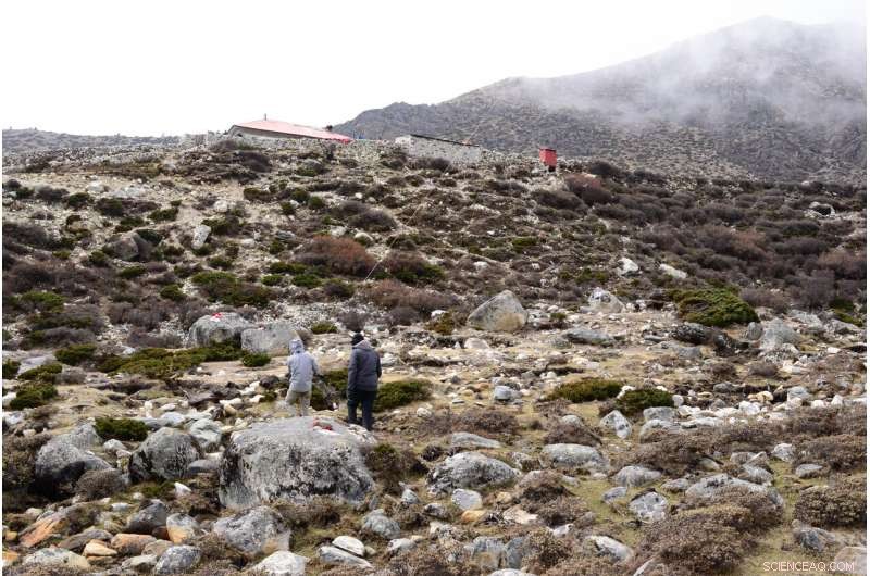 Everest’s Green Frontier: Expanding Plant Life in the Himalayas