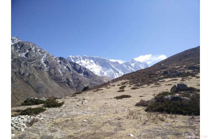 Everest’s Green Frontier: Expanding Plant Life in the Himalayas