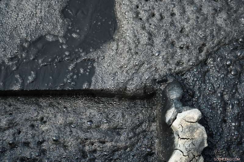 Citizens Unite to Revive China s Polluted Yangtze River