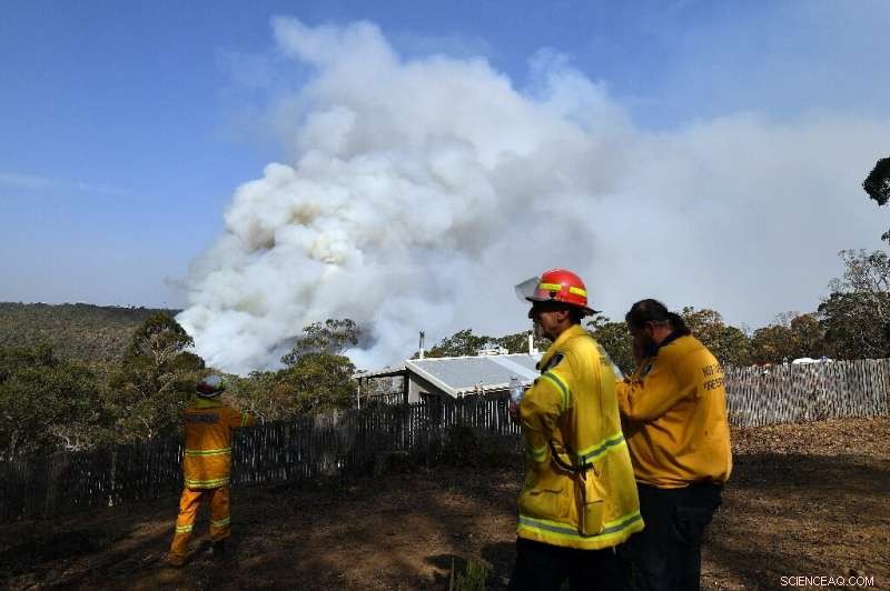 Gale-Force Winds Turn Australian Fires into Mega Blaze