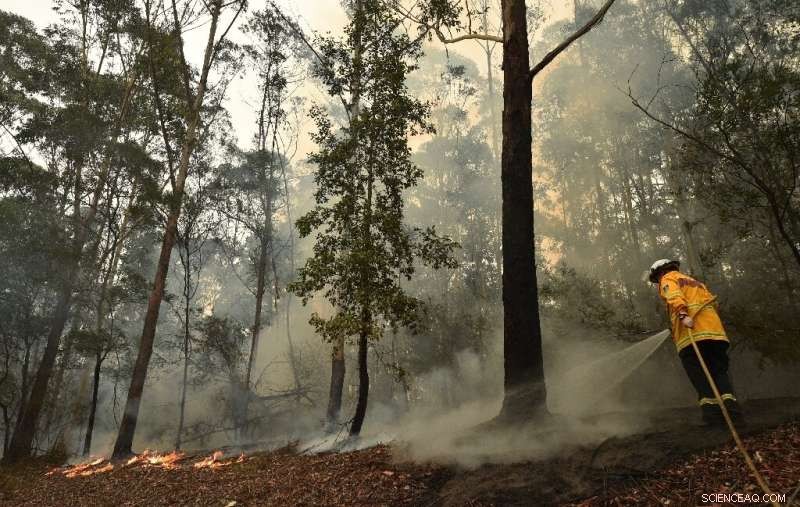 Gale-Force Winds Turn Australian Fires into Mega Blaze