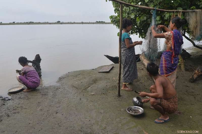 Majuli at Risk: Navigating the Water Crisis on the Brahmaputra River