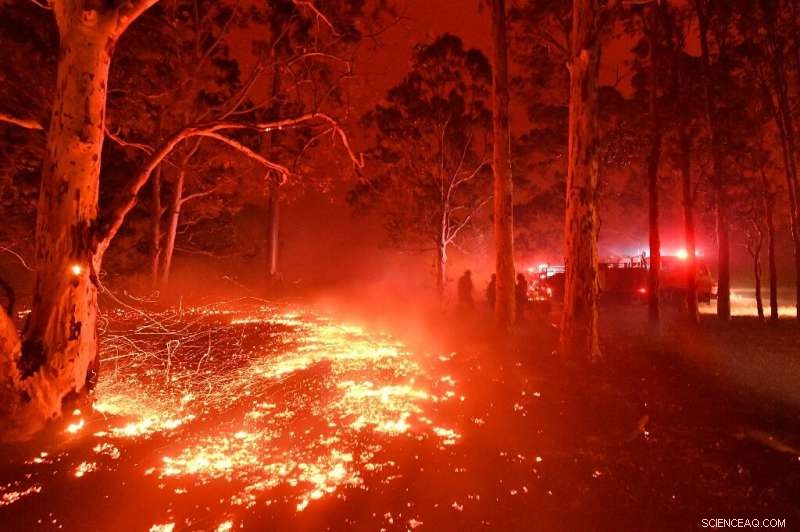 Australia s Bushfires Trigger Unprecedented Climate Disinformation Surge