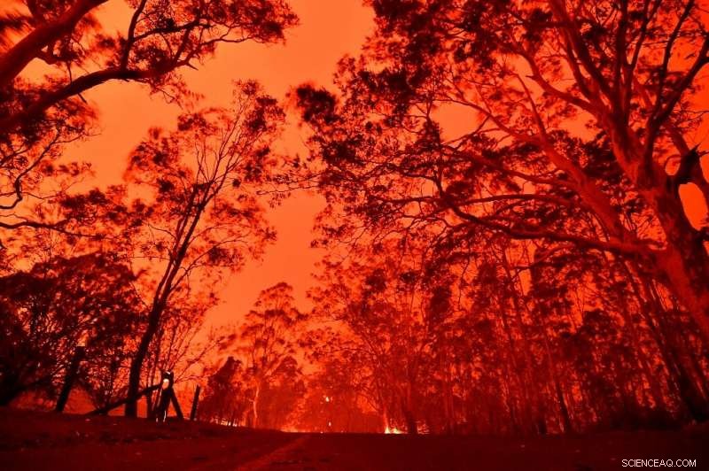 Australia s Bushfires Trigger Unprecedented Climate Disinformation Surge