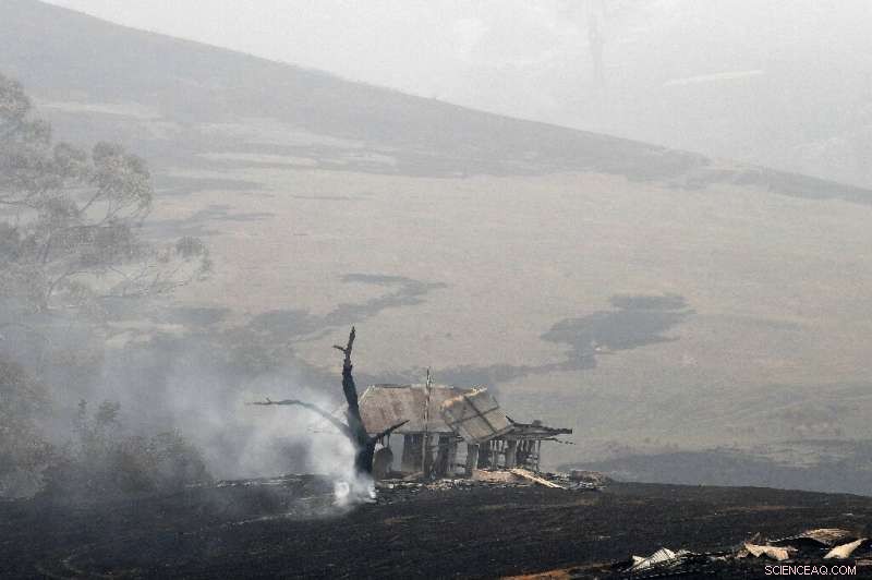 Australia s Bushfires Trigger Unprecedented Climate Disinformation Surge