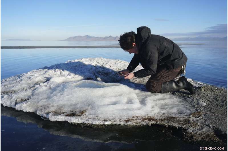 Newly Documented Rare Salt Formations Emerge on Great Salt Lake Shores