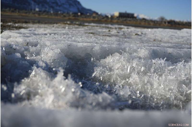 Newly Documented Rare Salt Formations Emerge on Great Salt Lake Shores