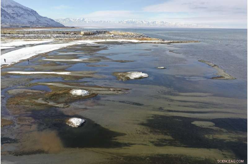 Newly Documented Rare Salt Formations Emerge on Great Salt Lake Shores