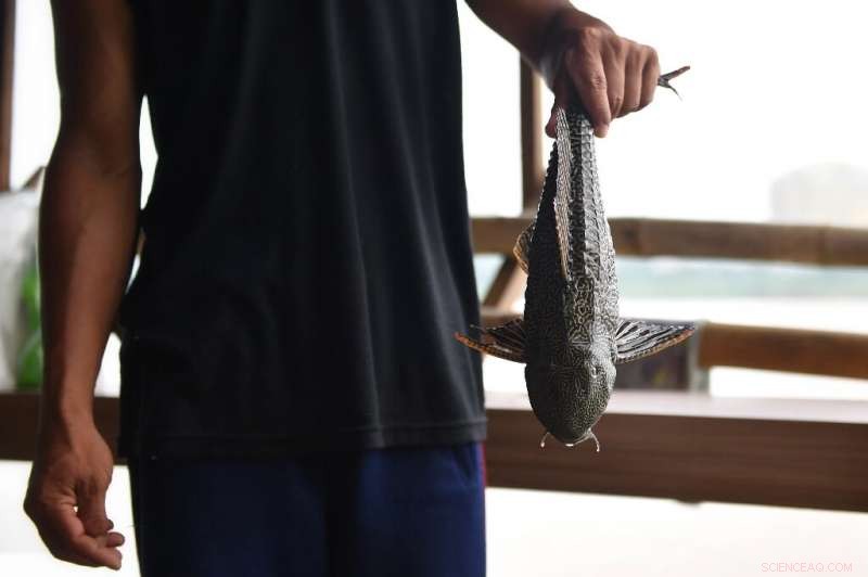 Asia s Great Rivers Threatened: Climate Crisis and Pollution Endanger Billions