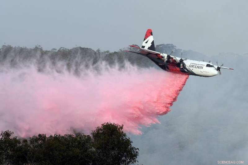Australia s Bushfire Crisis Deters Tourists: Impact on Travel and Safety