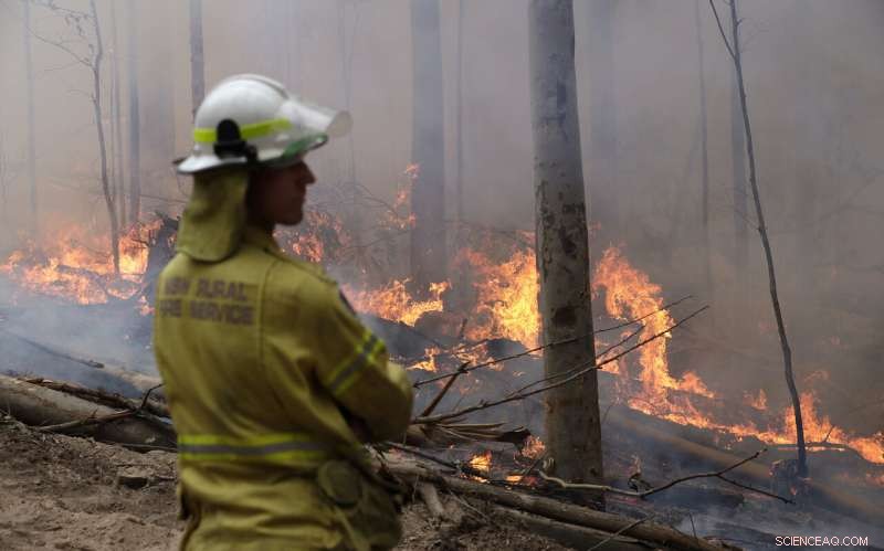 Australia Turns to Aggressive Tactics in Wildfire Battle
