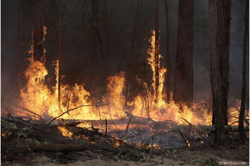 Australia Turns to Aggressive Tactics in Wildfire Battle