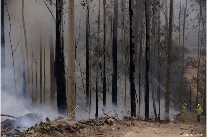 Australia Turns to Aggressive Tactics in Wildfire Battle