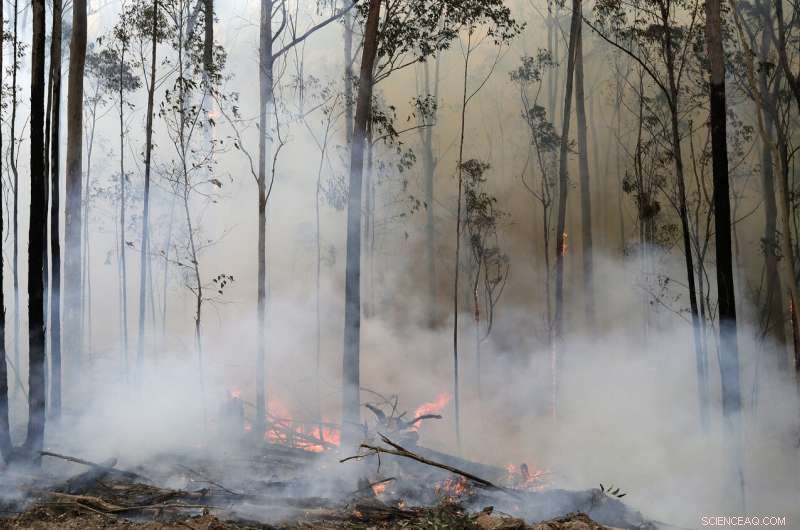 Australia Turns to Aggressive Tactics in Wildfire Battle